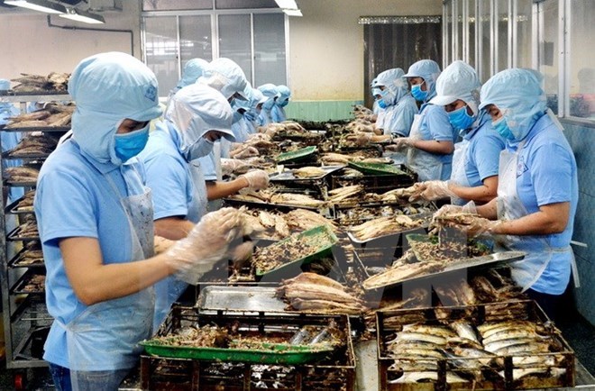 附圖：2018年前兩月越南水產品出口額同比增長近30%。（圖片來源：越通社）